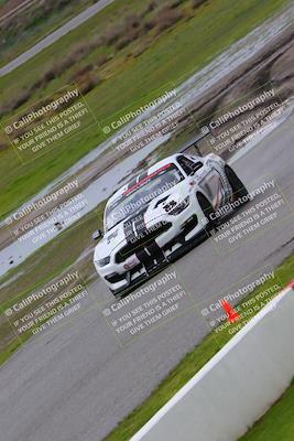 media/Feb-25-2023-CalClub SCCA (Sat) [[4816e2de6d]]/Qualifying/Qualifying 5/